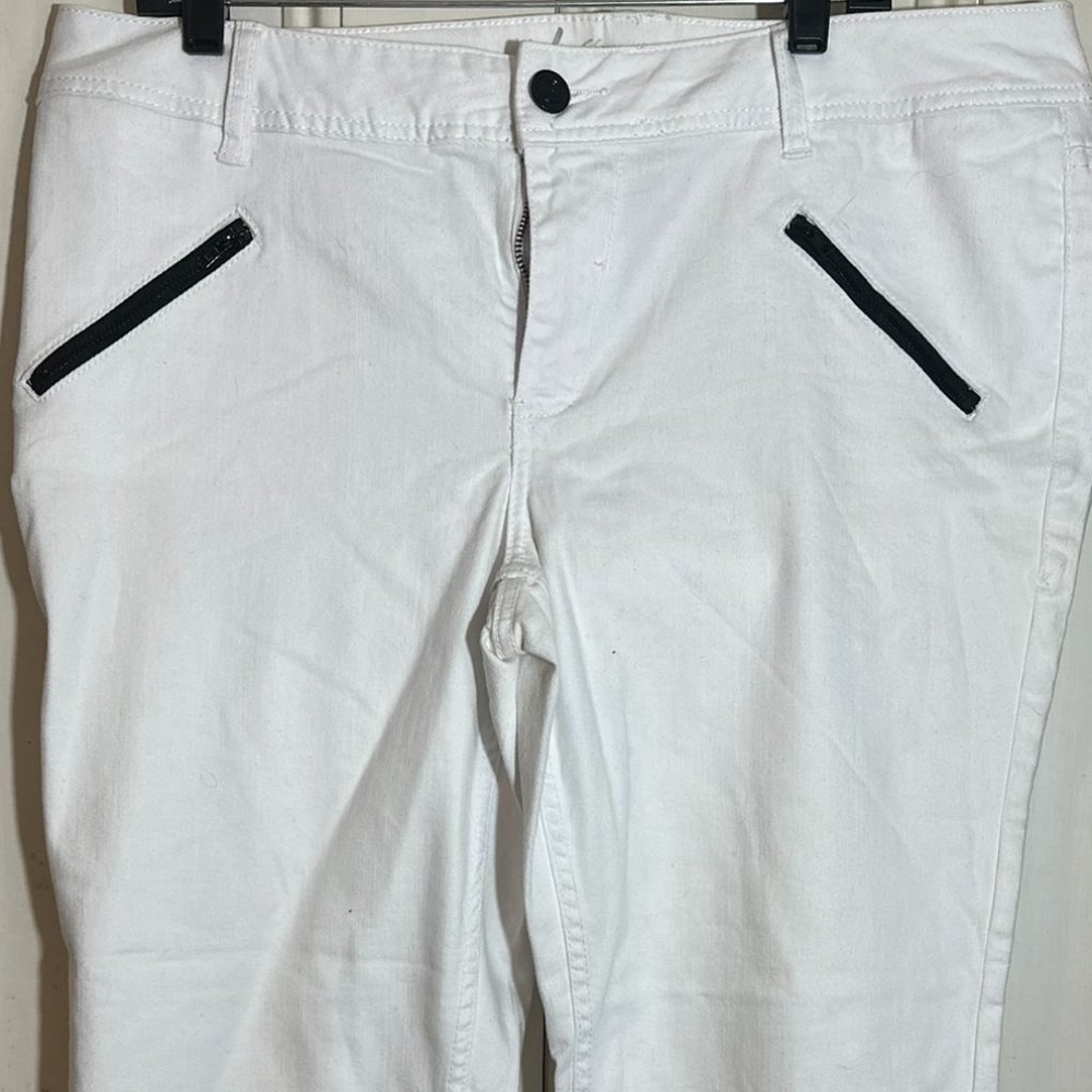Ladies pants